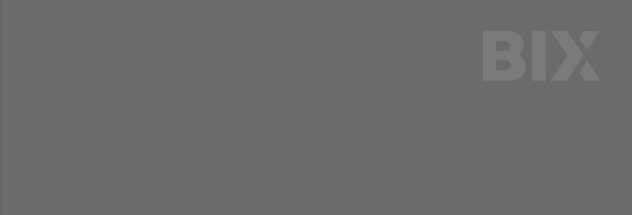 BIX-Styleguide-Logo-003.jpg