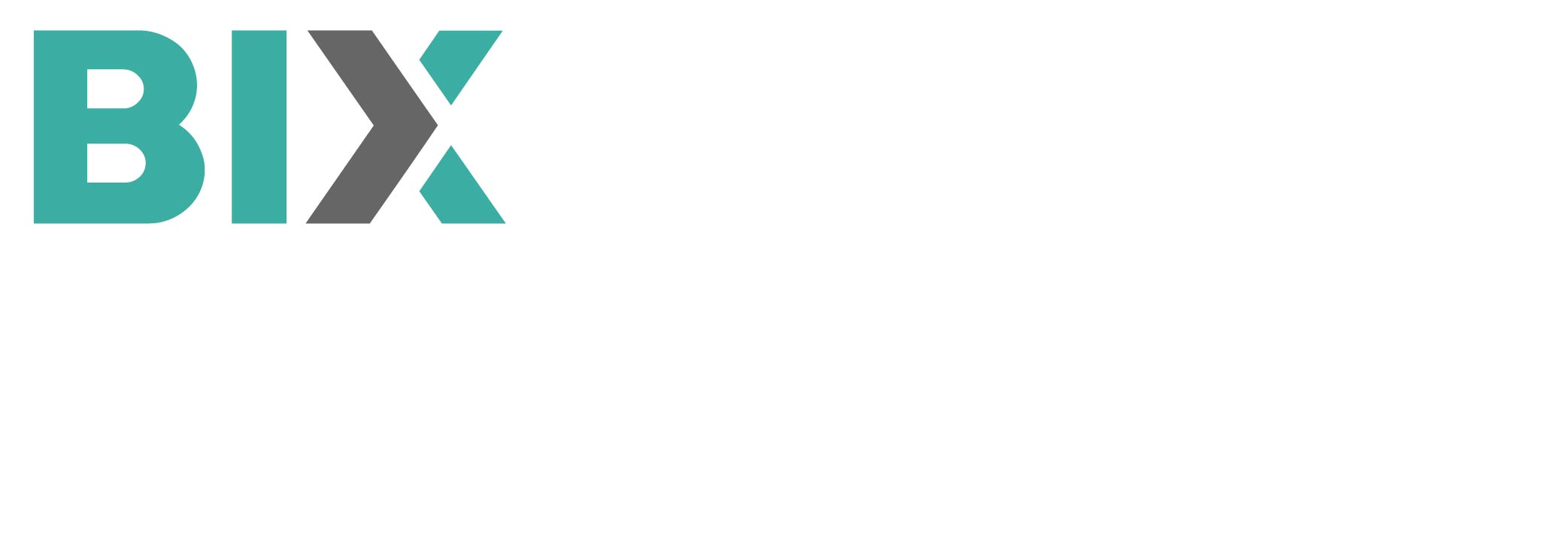 BIX-Styleguide-Logo-004.jpg