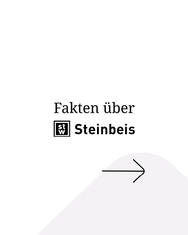 Social-Media-Mockup-Neu.jpg